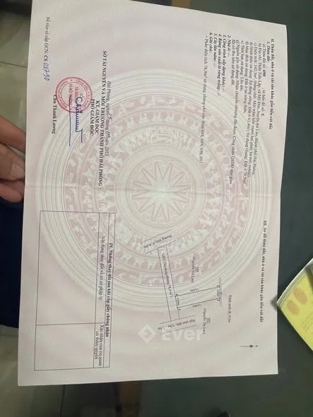 Bán 3 lô đất đường thông tiến lập mỹ đức an lão vị trí ngay ngã 3 quán chủng 100m