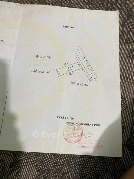 Ảnh bất động sản