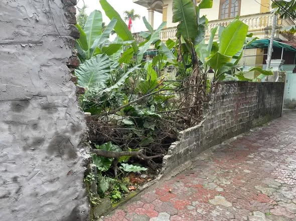 Ảnh bất động sản