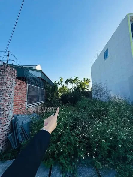 Hàng hot mặt đường thôn Sú Lâm Động - Thuỷ Nguyên Diện tích 110m ngang 5m