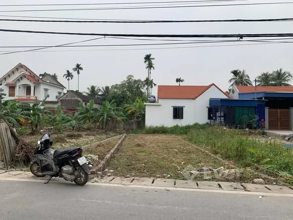 Mặt đường trải nhựa Lâm Động(phường Thiên Hương)Thủy Nguyên Hải Phòng