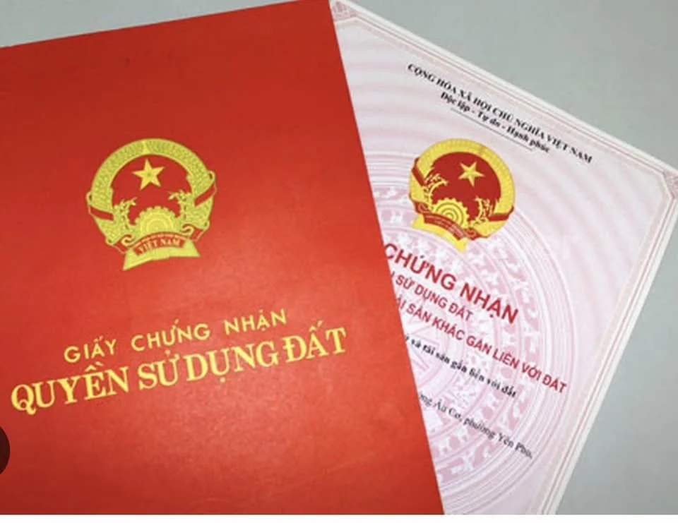 Ảnh đại diện Mai Thanh Land