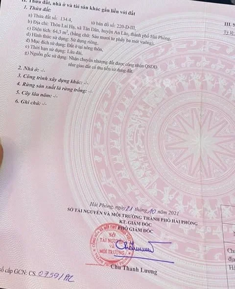 Chính chủ bán lô đất gốc dântại Lai Hạ- Tân Dân - An Lão - HP