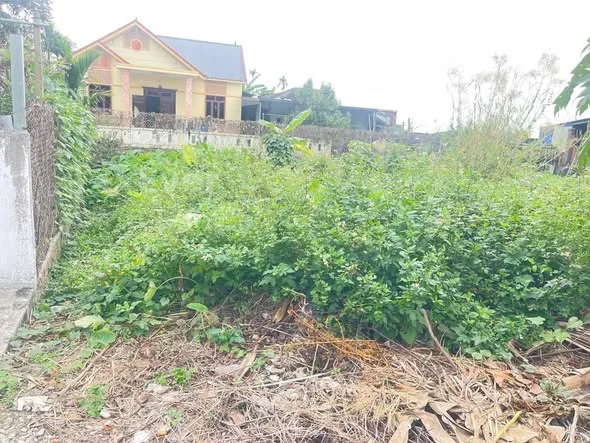 Ảnh bất động sản