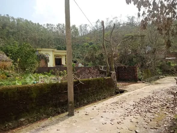 Ảnh bất động sản