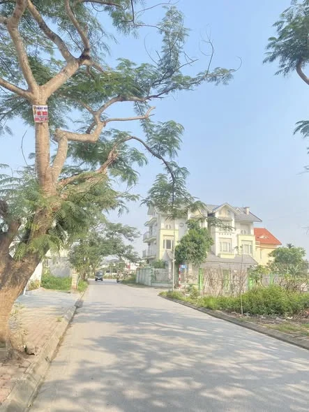 Bán lô Góc Anh Dũng 8 - Dương Kinh !Diện tích : 200m2