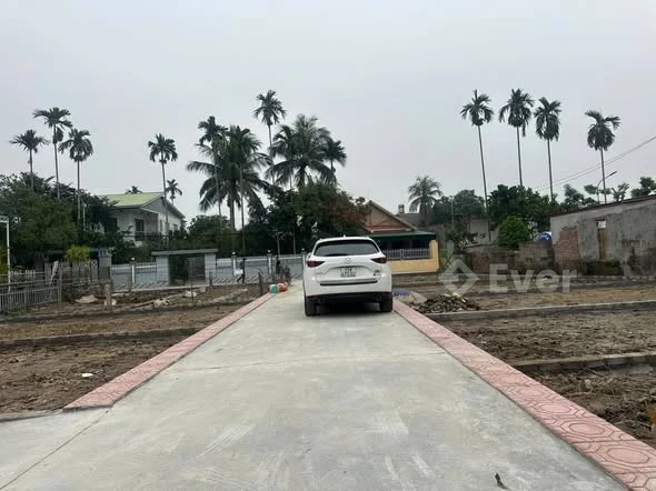 TẠI Phương Chử Nam - Trường Thành - An Lão -HP ( xã an trường )