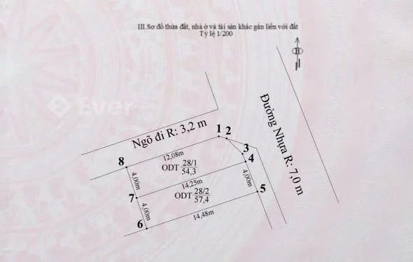 Chủ cần tiền bán gấp em hoa hậu chân dài miên man thôn hầu lâm động