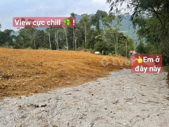 Hàng hiếm 15m mặt tiền, dt gần 150m2 + lưu không thêm 20 - 30m2 tận dụng