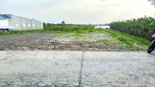 Hơn 2000m² Đất Vườn Đang Trồng ỔiPhường Đông Thành - Tỉnh Vĩnh Long