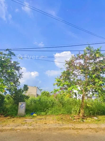 Bán Nền 100m² Đường B2 KDC Tân Phú, Cái Răng, TP. Cần Thơ