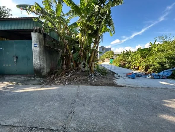 Bán đất đẹp tại Thôn 3 Bắc Sơn, diện tích 100m², ngang 5,5m, vị trí đẹp