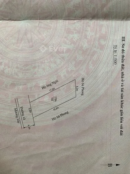 Ảnh bất động sản