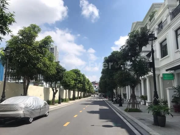 CẢ DÃY HẢI ÂU 3 CÒN ĐÚNG 1 CĂN THÔ DUY NHẤT BÁN CỰC HIẾM