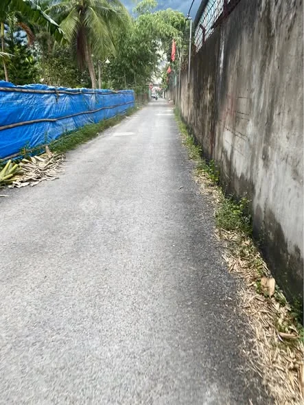 Bán nền 84,5m2 đẹp Full thổ cư đường Bờ Trúc, phường Cái Răng, TP Cần Thơ