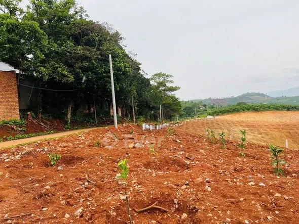 CHỈ 470 TRIỆU – SỞ HỮU NGAY LÔ ĐẤT VEN ĐÀ LẠT