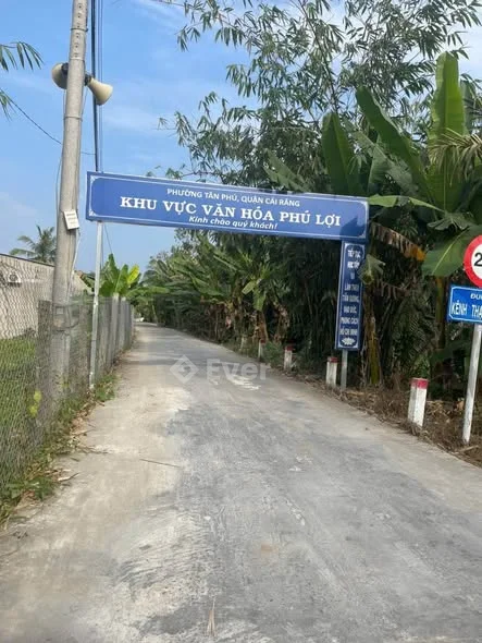 Bán đất thuộc kinh Thạnh đông. Tân Phú. Cái răng.