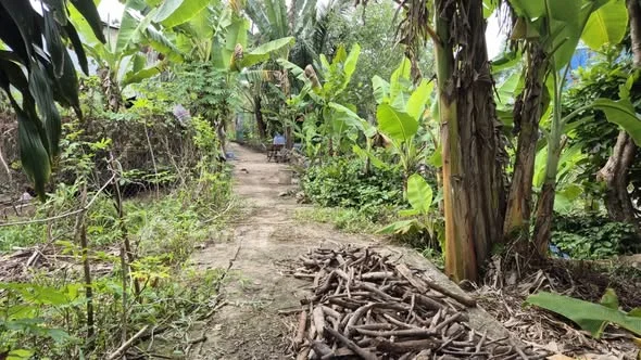 Nền Giá Rẻ - Sổ Hồng 150m2 - Giá: 649 Triệu BÁN NỀN GIÁ RẺ