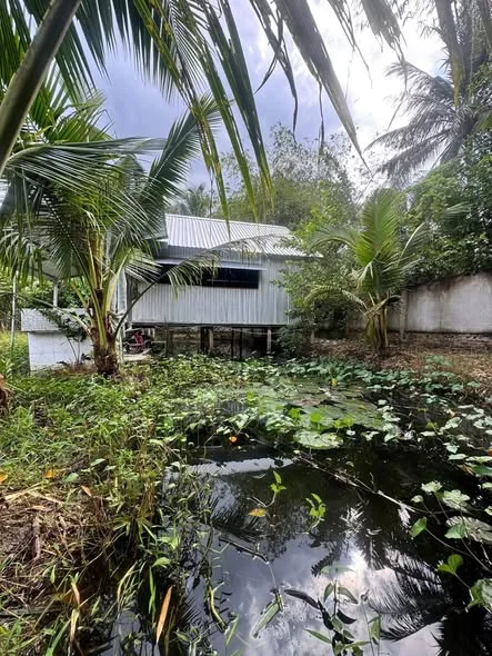 BÁN VƯỜN 1320m..Có 260m Thổ Cư Mặt Tiền 23m... Đã xây tường cao 3m bao quanh