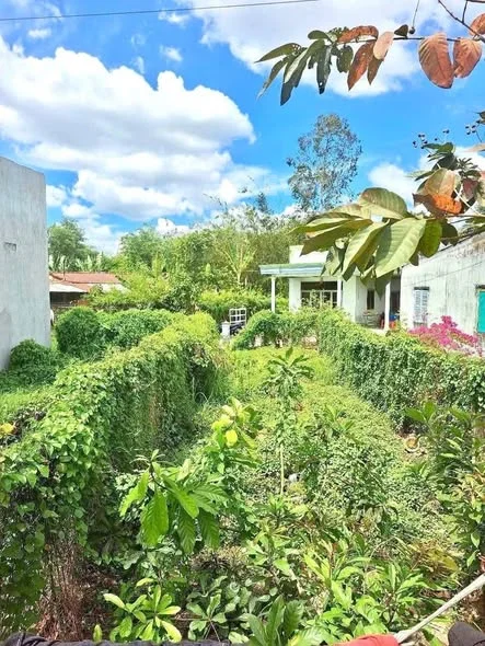 Bán Nền 103m2 Thổ Cư KV Phú Mỹ, Cách Đại Học Tây Đô 3kmGiá 1 tỷ 350 triệu