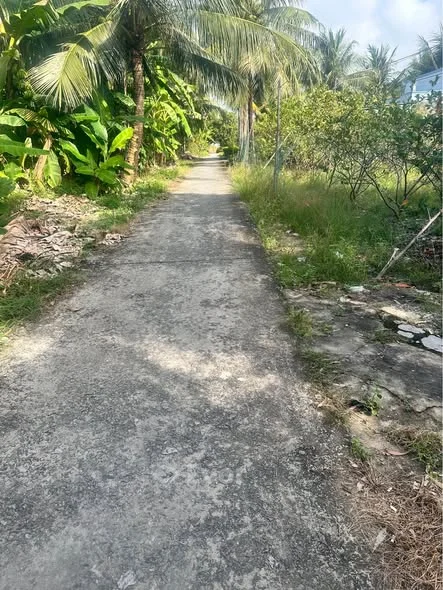 BÁN NỀN CÁCH CHỢ PHƯỜNG 7 CHỈ 800M Vị trí: ấp Mỹ 1, xã Hoả Lựu, TP Cần Thơ