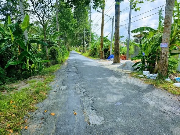 Bá.n 1.208,7m² đất lúa có 160m² thổ cư mặt tiền lộ Cái Chanh, Đông Phú, TP. Cần Thơ- Giá 2.9 tỷ