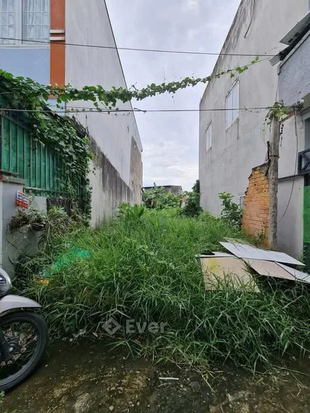 Ảnh bất động sản