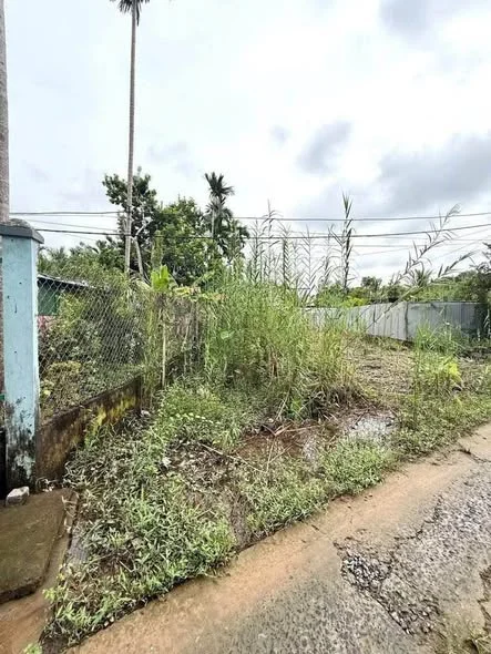 Ảnh bất động sản