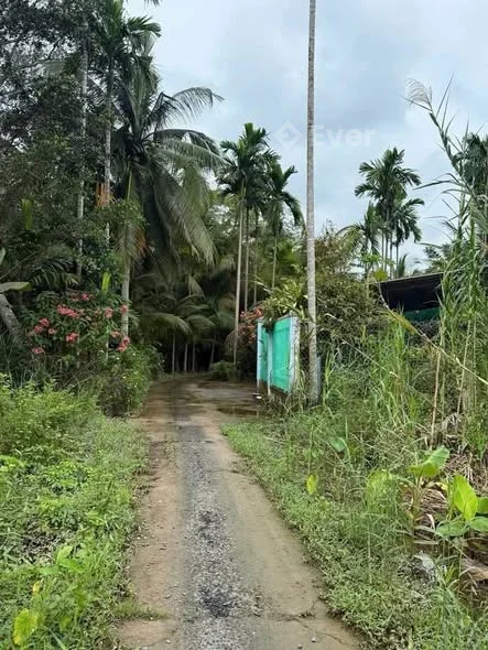 CẦN BÁN NỀN RỘNG ZÁ RẺ RẠCH ÔNG ĐỘI ĐƯỜNG ĐINH CÔNG CHÁNH, PHƯỜNG LONG TUYỀN THÀNH PHỐ CẦN THƠ