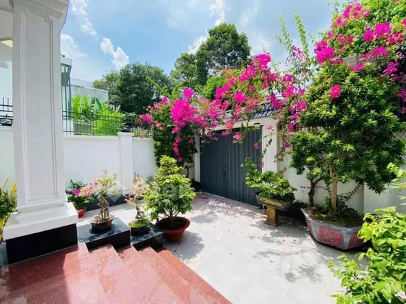 Ảnh bất động sản