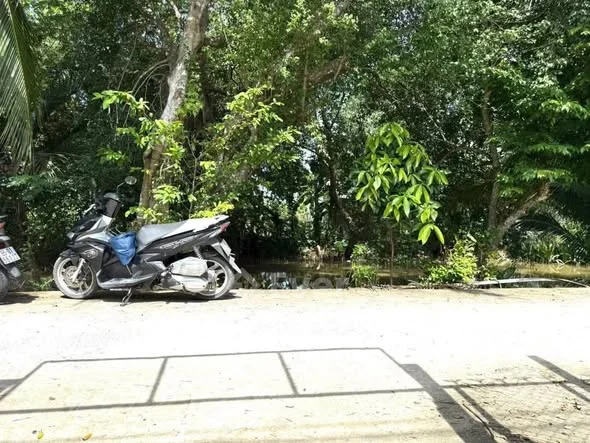 Ảnh bất động sản