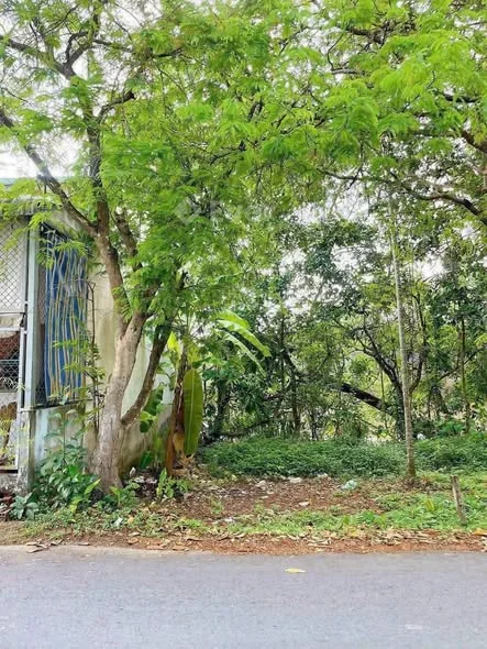 Nền thổ cư mặt tiền lộ nhựa mà có 1,2 tỷ quá đẹpNỀN MẶT TIỀN ĐƯỜNG ĐINH CÔNG CHÁNH