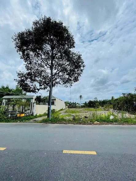 BÁN NỀN MẶT TIỀN ĐƯỜNG TRƯƠNG VĨNH NGUYÊN, PHƯỜNG HƯNG PHÚ, CẦN THƠ