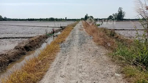 Bán 5,3 công ruộng Hậu Lộc-Tam Bình nay là xã Cái Ngang.
Đường đá xe tải tới đất,quy hoạch mở lộ 5 t