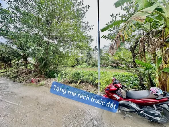 Anh chị nào đang tìm nền ở Phong Điền tham khảo giúp em nền này.