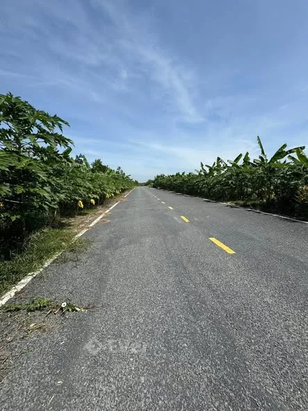 Mặt tiền Lộ 3B - Ngã 6 - Hậu Giang Lộ mới rộng 23m Ngang 20m x 130m = 2600m