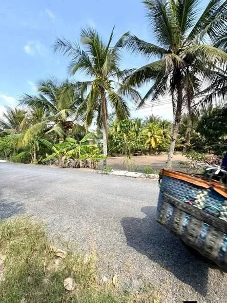 E bán vui lốc 5 nền xã Tân Quới nhé ace Nhanh tay thì còn chậm tay thì hết đấy nhé Cách cầu treo