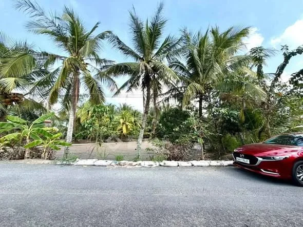 E bán vui lốc 5 nền xã Tân Quới nhé ace
Nhanh tay thì còn chậm tay thì hết đấy nhé
Cách cầu treo