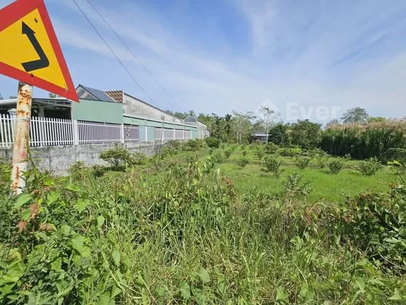 Giá 589tr thương lượng Chủ gửi bán nền mặt tiền lộ nhựa Cống Cây Gòn