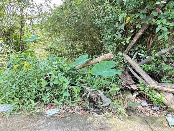 . EM CẦN BÁN NỀN RỘNG tại Phường Vị Thanh (Phường 1 Cũ) thành phố Cần Thơ