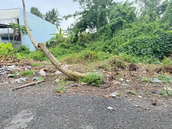 Ảnh bất động sản