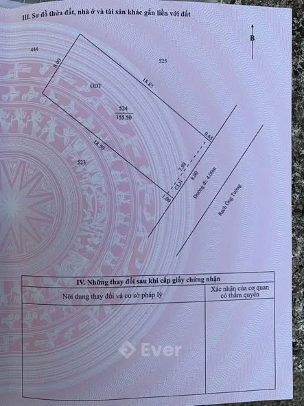 NỀN 8x19=155m2 view bờ kè rạch Cam mát mẽ + DT: 8 x 19 = 155m2 có 149m2 ODT, 6m2 CLN + Lộ trên