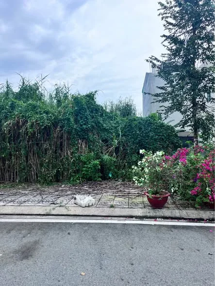 Bán cặp nền đẹp đường số 12 KDC Tân Phú - Hưng Phú - Cần Thơ—