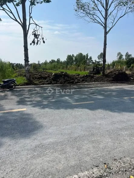 Bán 1,559m Mặt Tiền Đường Tỉnh 919, Trường Xuân, Thới Lai, Cần Thơ