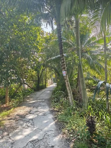 CHỦ GỬIBán nền 658m Rạch Chuối ấp Mỹ Hòa - xã Mỹ Khánh - Phong Điền - Tp. Cần Thơ Giá 3 tỷ 500