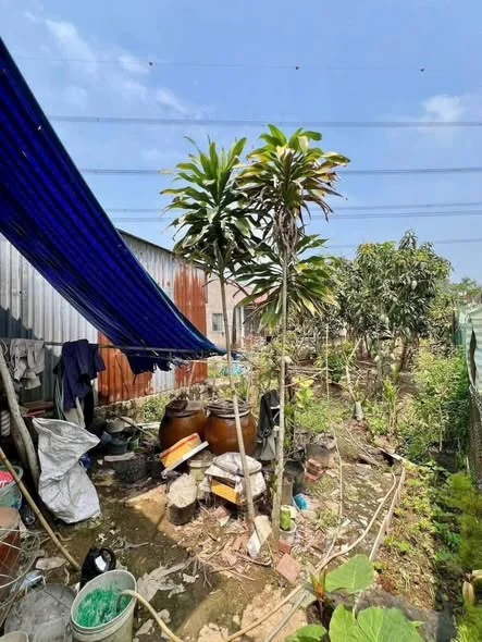 Ảnh đại diện Hoang Nguyen