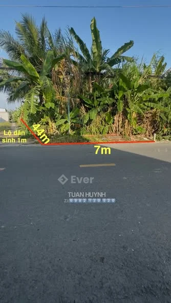 Nền góc 2 mặt tiền – diện tích lớn – khu vực chợ Cái Chanh, vị trí thuận tiện