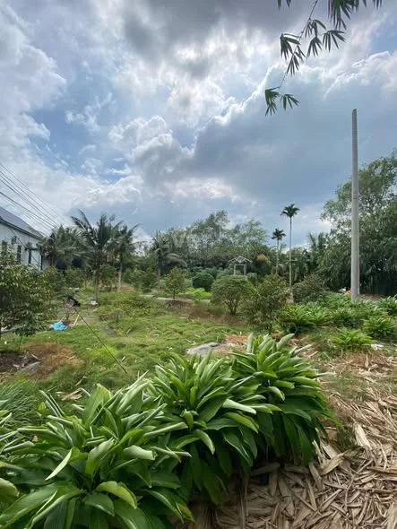 CHỦ GỬI  GIẢM 500 TRỊU  Cần bán GẤP NỀN GÓC TUYỆT ĐẸP RẤT PHÙ HỢP NGHĨ DƯỠNG Ạ - 3,8 tỷ - 200m²