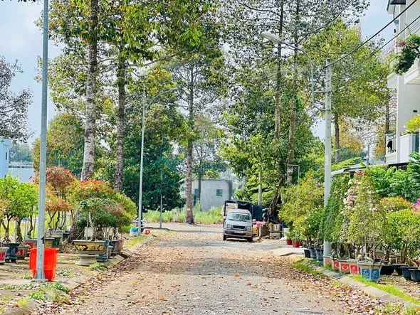 Ảnh bất động sản