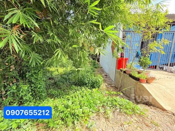 Chỉ 115 Triệu Có Ngay Nền Thổ Cư Sổ HồngDT: 5m x 20m ( 50m2 thổ cư)